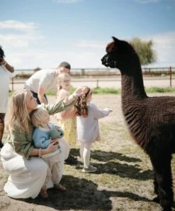 Mushie Snack Cup (Cambridge Blue) -Baby Go Round Store 1 Lammas 21 Shopify 600x 0e826b1b b873 422c 8581 2758310bc5d2