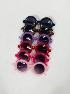 The New Class Ray Round Sunnies