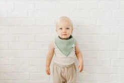 Copper Pearl Baby Bandana Bibs | Peanut -Baby Go Round Store CP1J21ACLSSWEB 407 bffcfb84 65b6 4590 9b88 95533e282550