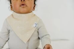 Copper Pearl Set Of Four Bandana Bibs Santa Fe -Baby Go Round Store CPA1023AC 331