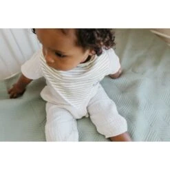 Copper Pearl Baby Bandana Bibs | Rex -Baby Go Round Store CPSAUSM21ACWEB 505 jpg 8dc444ea d82f 4dc7 8308 c700c7e12dec