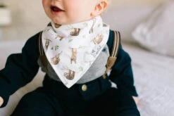 Copper Pearl Set Of Four Bandana Bibs Noah -Baby Go Round Store Copy of EmmyLowePhotoCPNov1618 268