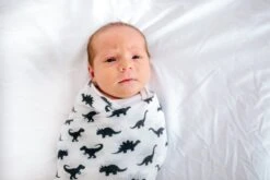 Copper Pearl Knit Swaddle Blanket - Wild -Baby Go Round Store Copy of EmmylowephotoCopperPearlSept6 79