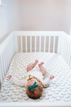 Copper Pearl Cotton Fitted Crib Sheet - Daydream -Baby Go Round Store Copy of EmmylowephotoRooCPOct12 81 51f41b35 5b53 4199 8fd2 17b2cae18c0a