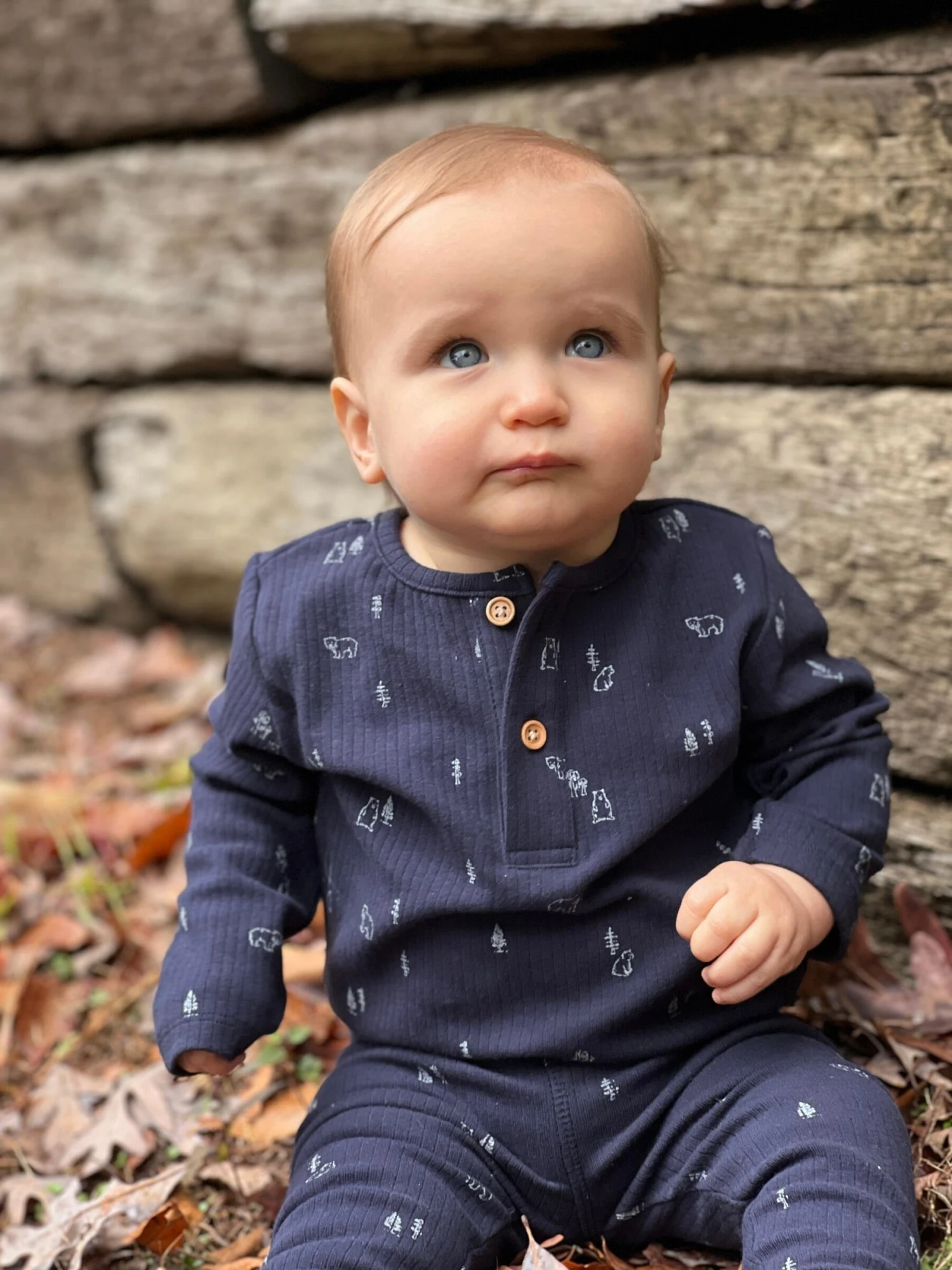 Ettie + H Perry Leggings | Navy Bears 4 Ettie + H Perry Leggings | Navy Bears - Image 4