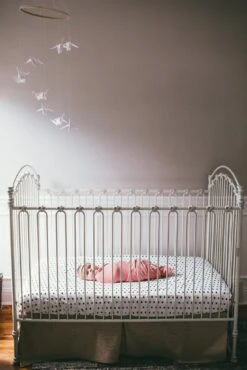 Copper Pearl Cotton Fitted Crib Sheet - Smitten -Baby Go Round Store EmmyLowePhotoCopperPearlJuly22 6 ff3895ad f1a8 426b 8761 bd8d23fe5455