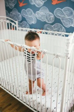 Copper Pearl Cotton Fitted Crib Sheet - Native -Baby Go Round Store EmmyLowePhotoCopperPearlJuly222 76 98e42201 538a 4ab7 b46e 2b0f38df9b2f