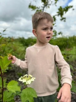 Me & Henry Tarquin Sweatshirt | Tan Cosy 6 Me & Henry Tarquin Sweatshirt | Tan Cosy -Baby Go Round Store HB1357B TANCOSY 3 c795858a d1a9 4631 bdd8 c7dc48abe231