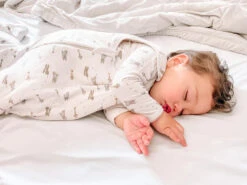 Gunamuna Sleep Bag Duvet, 2.6 Tog - Flight