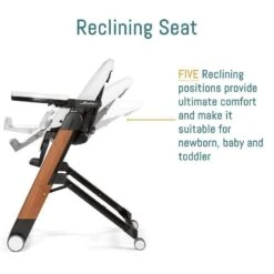 Agio By Peg Perego Siesta High Chair -Baby Go Round Store Reclining Seat ec9cafd8 3c4b 4780 98e2 aabd69513bac