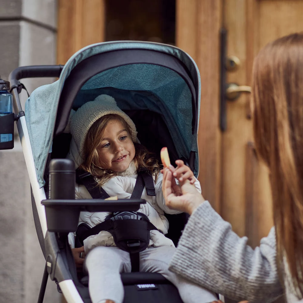 Thule Spring Stroller - Image 9