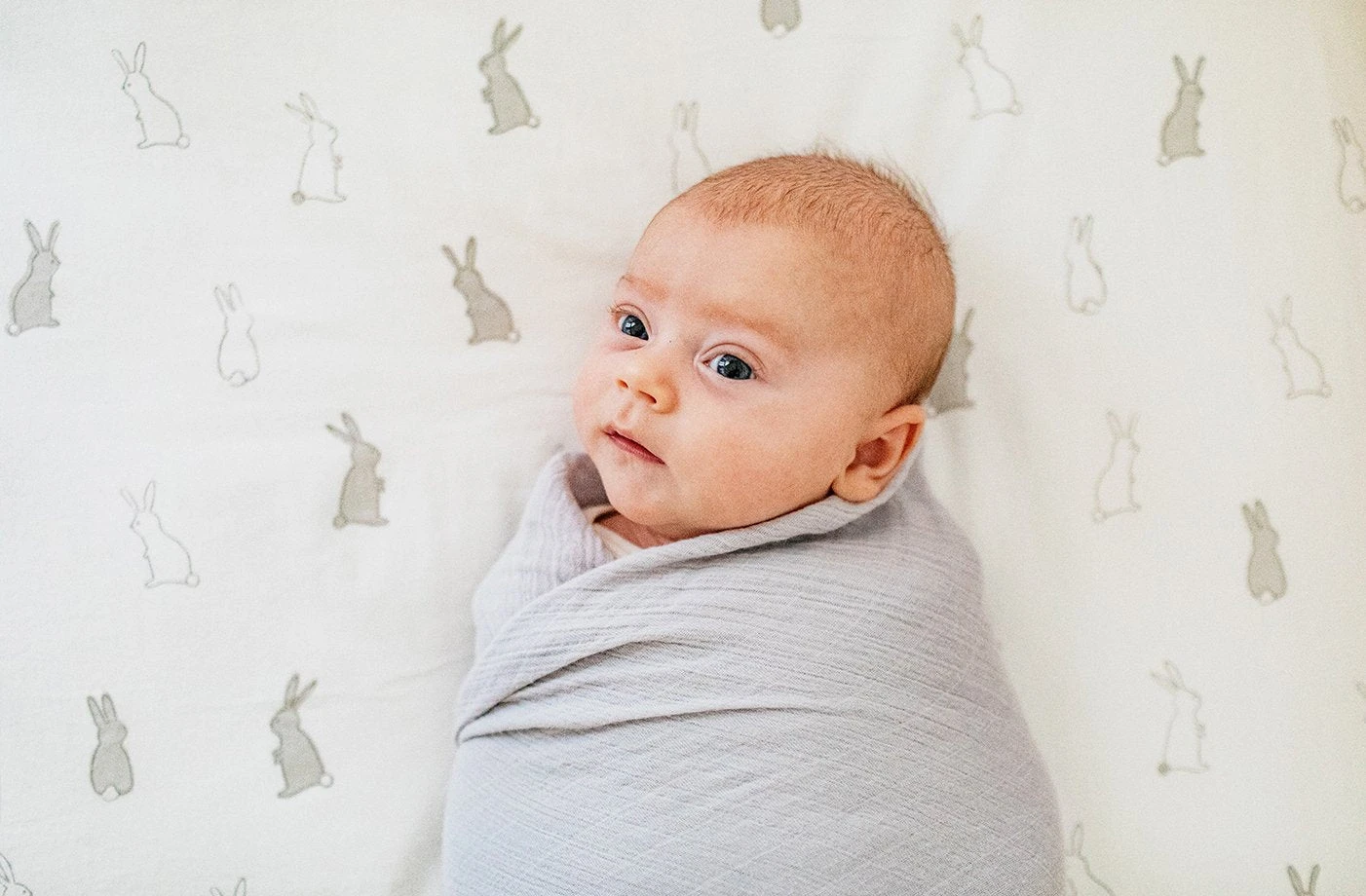 Petit Pehr Crib Sheet - Bunny Hop 2 Petit Pehr Crib Sheet - Bunny Hop - Image 2