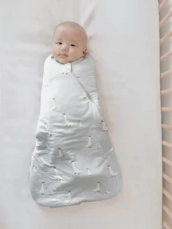 Gunamuna Sleep Sack Swaddle -Baby Go Round Store crownedgoose2 750x 6ab1d86e b340 44cb 8d46 83a403e2619f