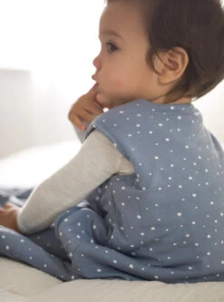 Gunamuna Sleep Bag Duvet, 2.6 Tog - Dream