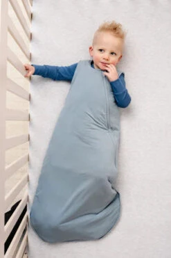 Lou Lou And Company Leo Sleep Sack -Baby Go Round Store leo sleep sack toddler boy 2