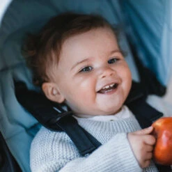 Thule Stroller Seat Liner -Baby Go Round Store liner grey6 076defff 07cd 40ee 9705 1fdac0c15b8e