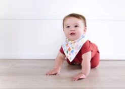 Copper Pearl Baby Bandana Bibs - Nautical -Baby Go Round Store nauticalbibset2