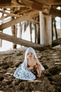 Copper Pearl Premium Knit Hooded Towel - Pacific -Baby Go Round Store shark2 d65f7d5b 94c6 4293 b4b5 a5ca9c603fbe